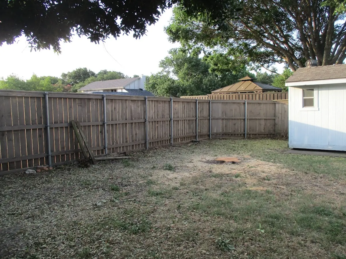 Cleared yard after professional tree removal in Duckwater